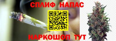 первитин Гусев
