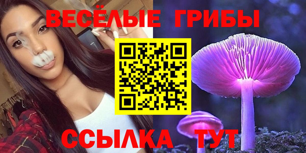 Псилоцибиновые грибы Psilocybine cubensis Можга